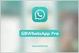 GBWhatsApp Pro APK V17.60 Download For Android 202